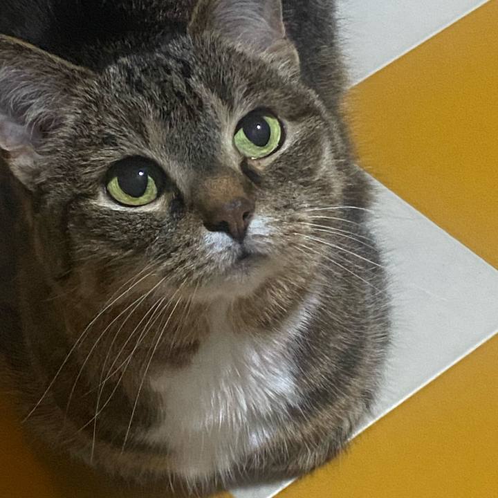 505025a3 0872 49c5 ab8d ba3e49eca757 1750259545789