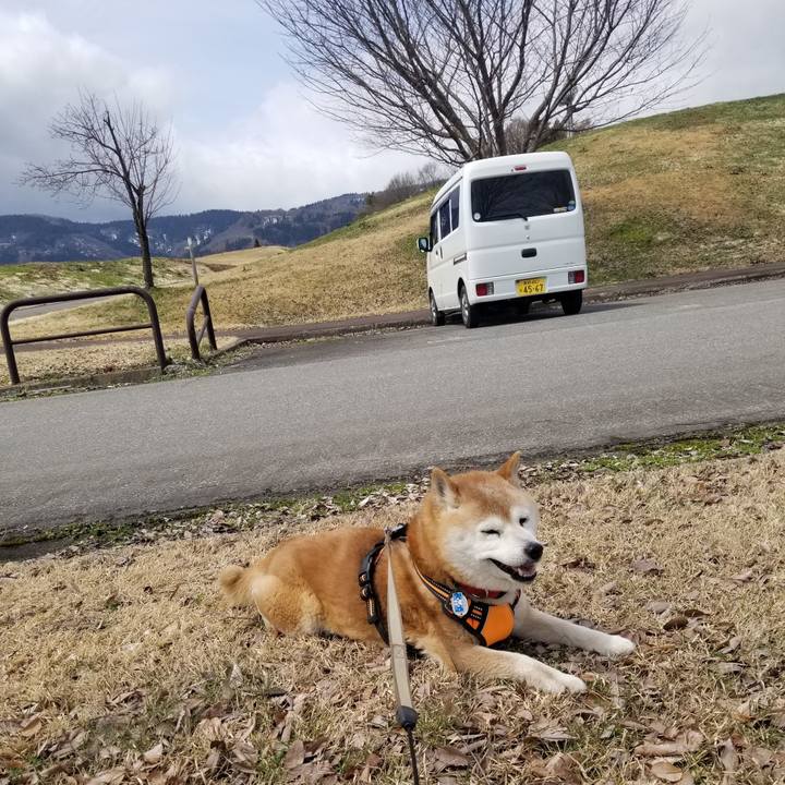 5050888f e324 4dce 89ab 516571b045fb 1712199104206