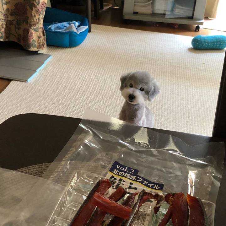 5050e1c9 f48b 427a a7fb 31377c526b3a 1534417428180