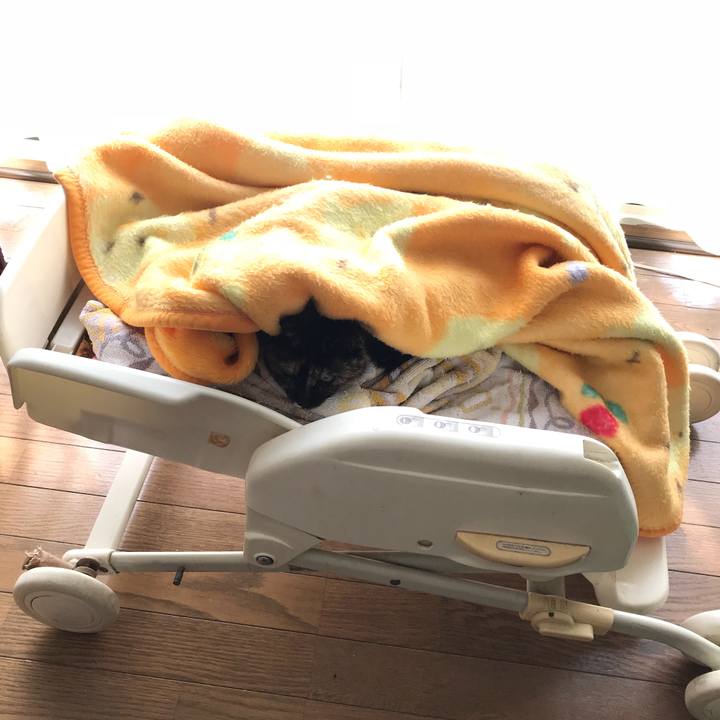 5051048e 4c3c 48a3 bdc7 e7ef39dc8e02 1523325150286