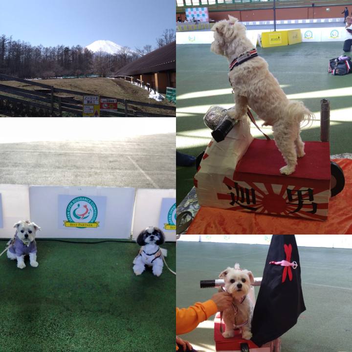 50510db2 a288 4fa4 8a0a 2ca8c760b9b7 1710597381899