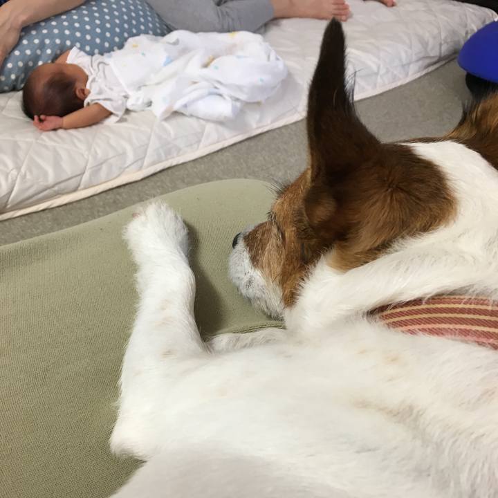 505141c5 7b4a 4339 9fe8 3333986c7dc7 1534122401352