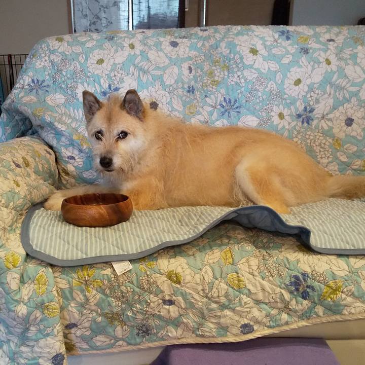 50515fc2 4505 44ce 8d57 01a3fe531668 1561770559090