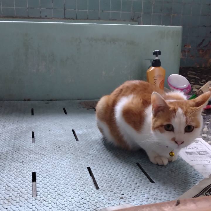 5051682e a866 4489 a61e feb940119542 1743757060401