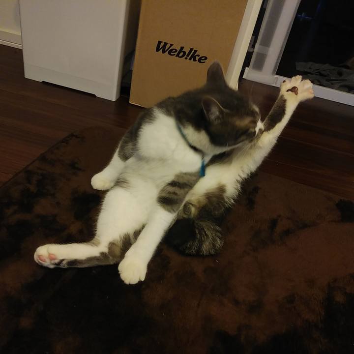 50519d09 1bb0 4446 96fe c6053ad60740 1576826680395