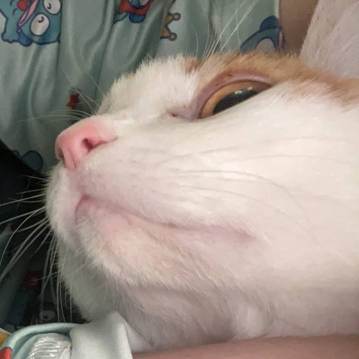 5051ae7d 9d21 4627 93ef 876e7e63be8d 1761667517736