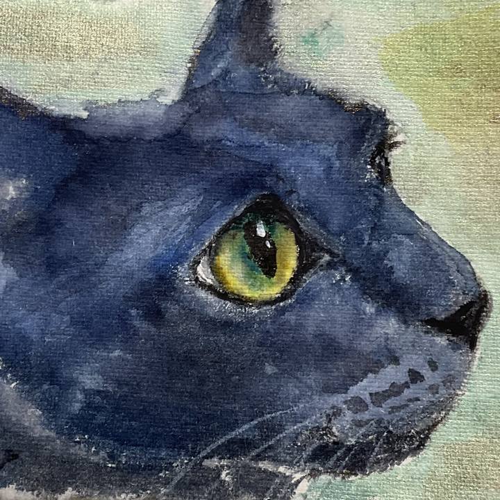 5051dfd3 cd76 48f8 96a5 158c0383392f 1746704433068