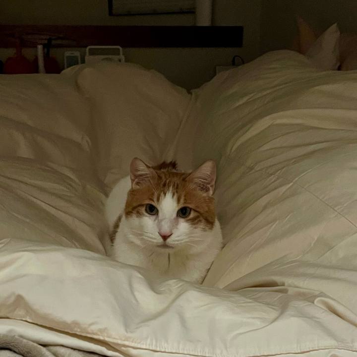 505204ab 43d7 4e40 9286 e9cc9ba8f1c1 1764252014750