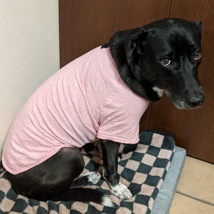 50521823 192f 4df6 89e2 498da4dcaeeb 1636331621912