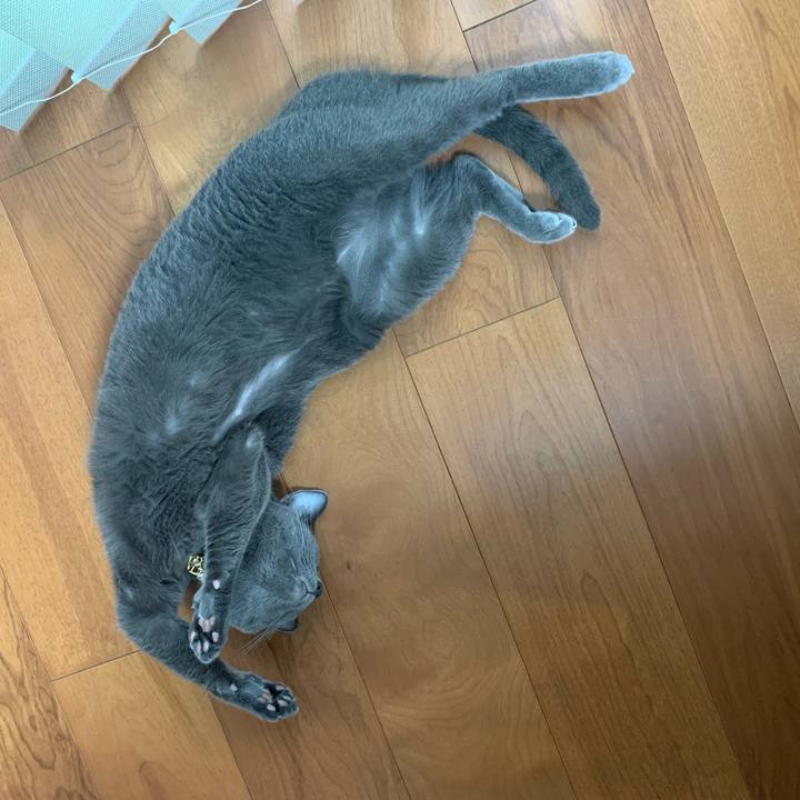 50522edb 0a3c 4e0e b329 fbae236a7bc8 1663501421601