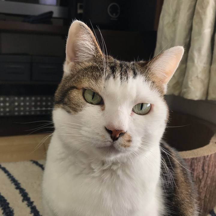 50525fde 0759 4a6d b7a6 e929d9395dda 1576642934147