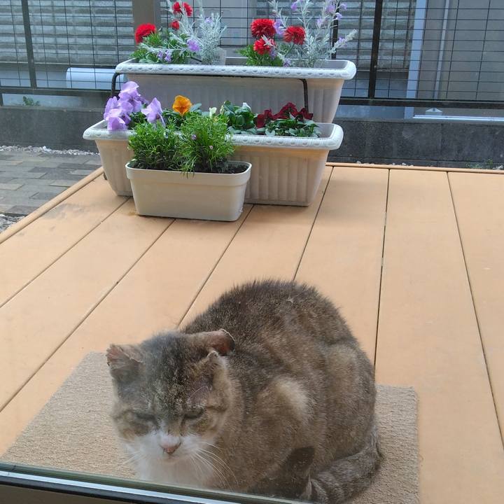 50529348 07b7 4b76 b214 2a613de3147a 1773446562450