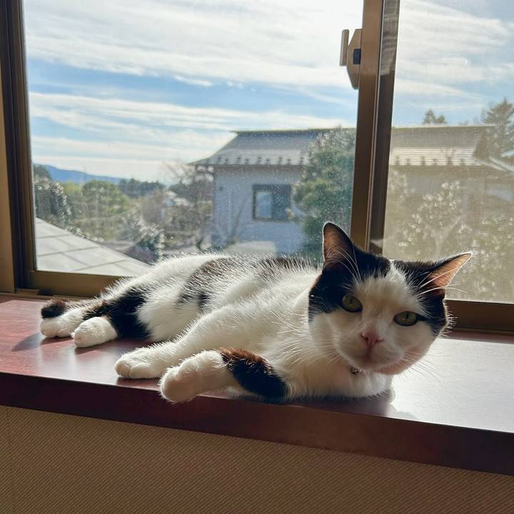 5052c86e ef2d 4ac2 addc c2f41f6014db 1767657210775