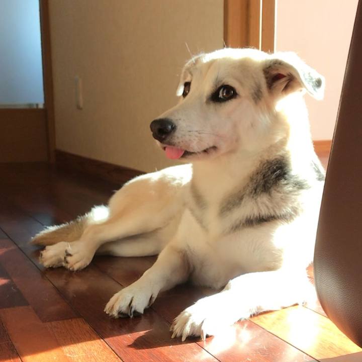 5052d9f4 cd6a 48bf befb 51c32441bfeb 1540166584674