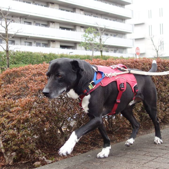 5052f736 b1a8 4875 8b8e 89e0e66fbb14 1678755696038