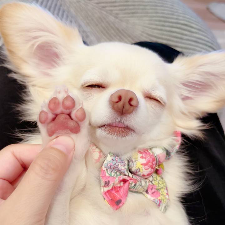 505341c3 588b 4b0f 80d2 a5387010d6d4 1692786448204