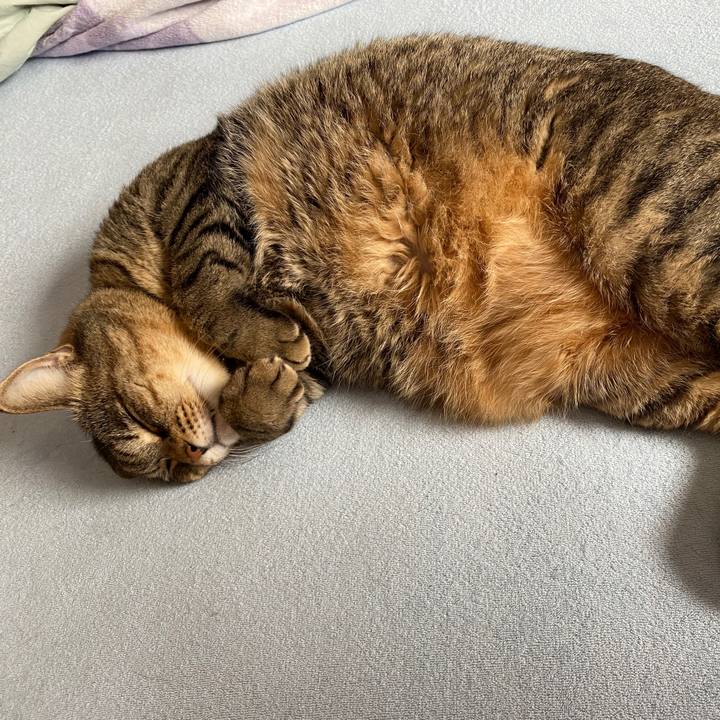 5053af30 5c9f 409e 9795 66140b15116d 1591497070936