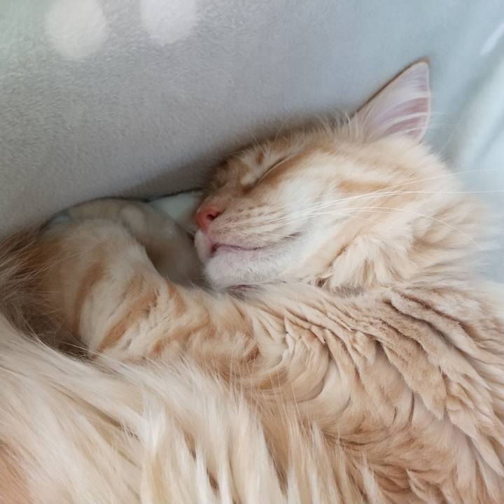 5053ed8f 364a 4763 9956 32c40b125422 1643000763651