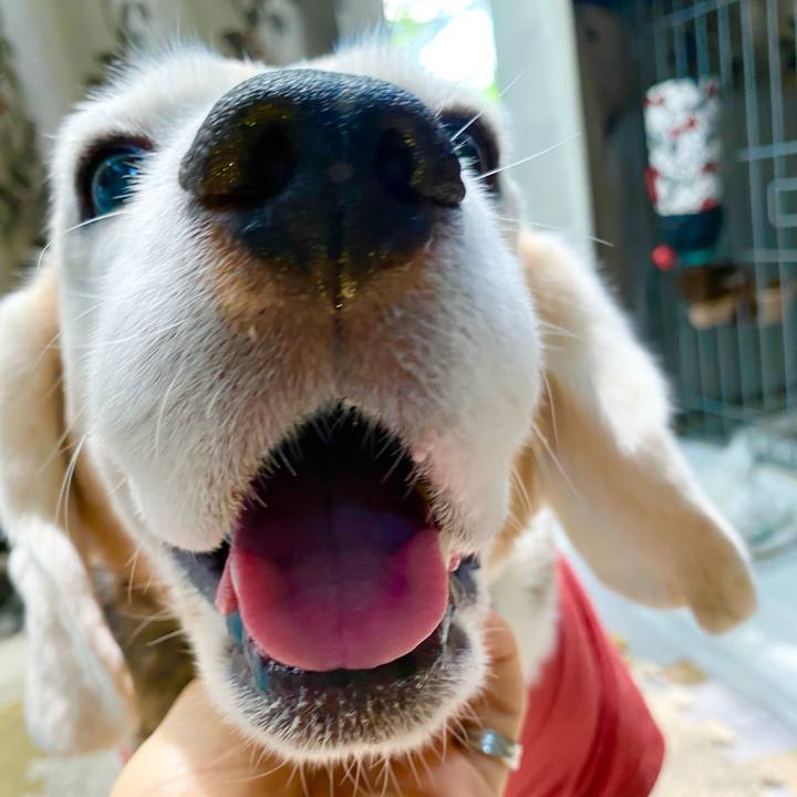 5053fa1e 26f1 48d4 a5d2 ab96c644bc2f 1658462168770