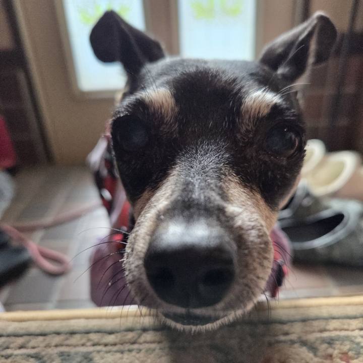 50544585 74a0 489c a48a 8af333adb6d3 1759356465157