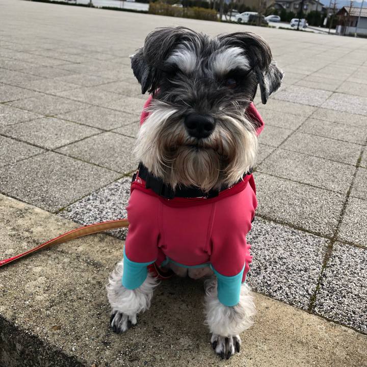 5054679a 8d11 45cd a45c 5ca0f2aff6fc 1578101204426