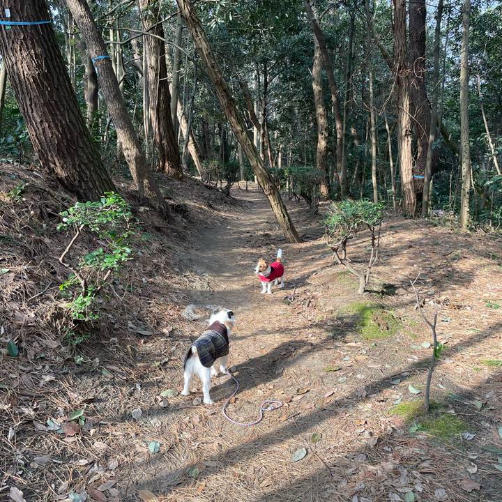 50548d6d eeb8 491b 8373 894ceefc86a3 1646442972853