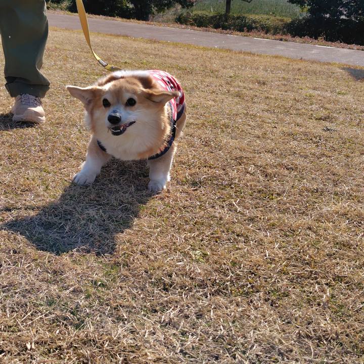 5054937e fe96 4803 9462 c92054c6b600 1739711271166