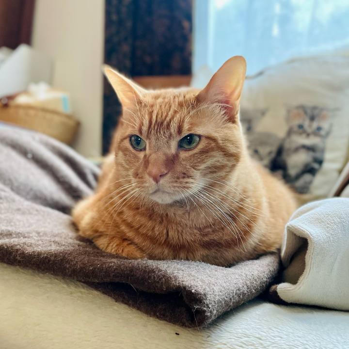 5054a238 13a2 4336 b0ce b02819da81e2 1672832190808