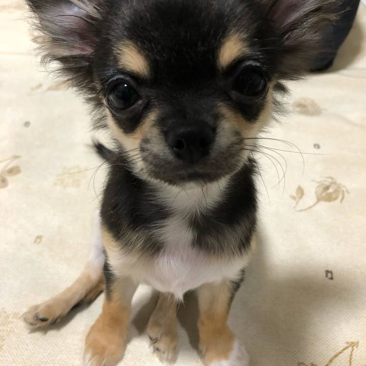 5054a324 6c02 4e58 974f c37403a3c9e6 1537827325786