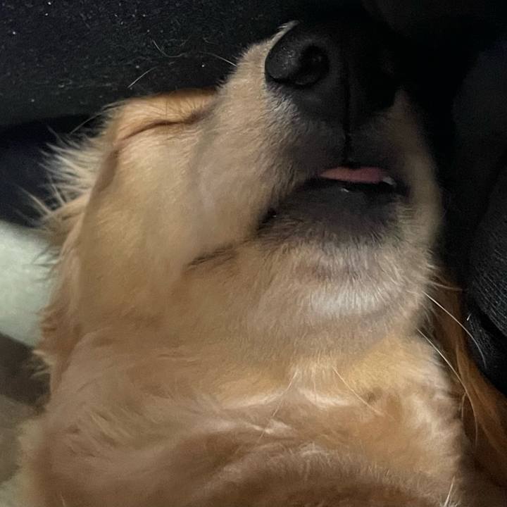 5054a9c9 e97e 41ee b23a 055ea60e6b27 1685194307182