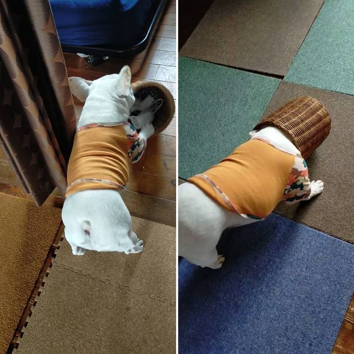 5054c234 e278 4457 840c cf5f49e7badb 1666568267824