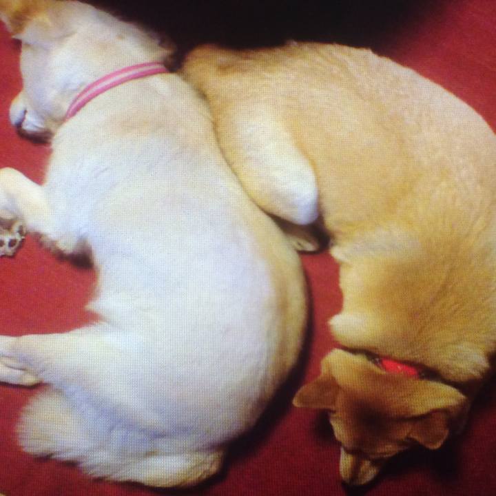 5054c4a8 167a 48fc a4d7 17acc0c76f8a 1763972584940