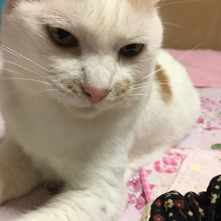 5054e438 0238 43c9 ae29 b74f15551d04 1565739473106