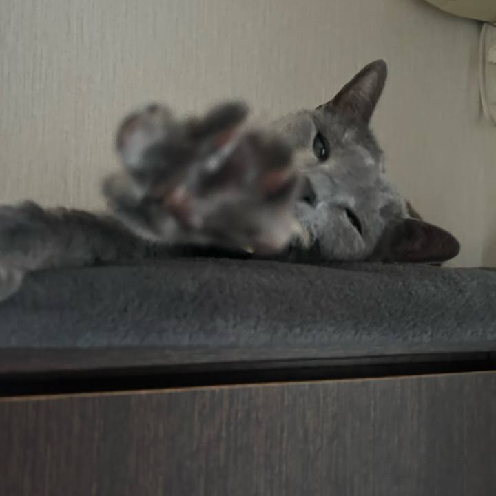 50550229 4acf 4b6d 8507 9a2d59236c0f 1740785618553