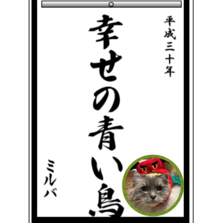 50550f4c 41f8 42bd a195 5fef6d7f7c22 1514739058206