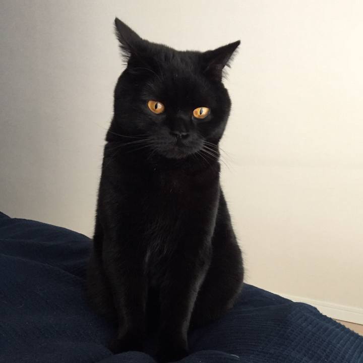 505574c4 9069 492c b443 252c46069fc0 1553908044630