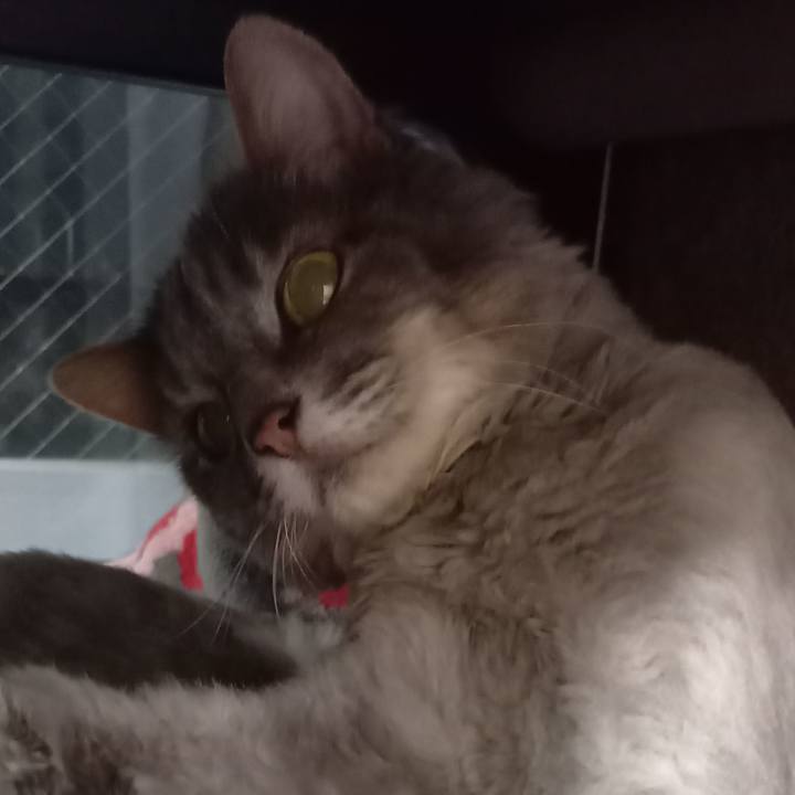 505581ef d58d 44e5 b6fa ee0a4b179a29 1653858290318