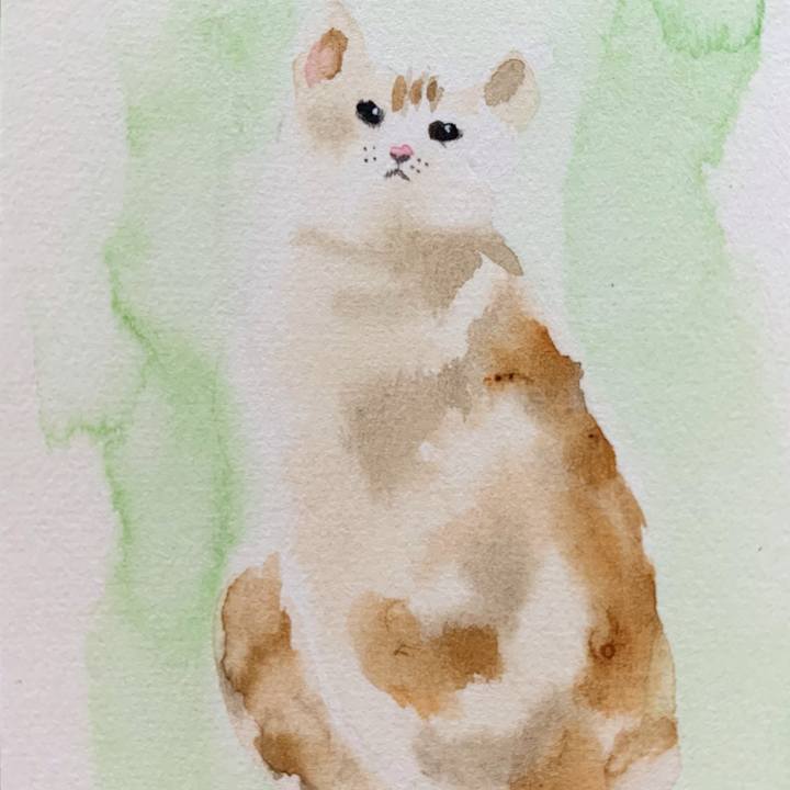 50558f82 b3a5 4277 8bda 3163c1cda59f 1605058124385