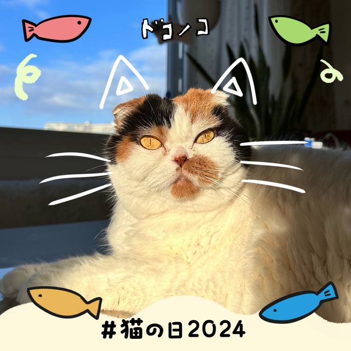 5055c6cd 76fa 4579 b6b6 ee865420d977 1708558263511