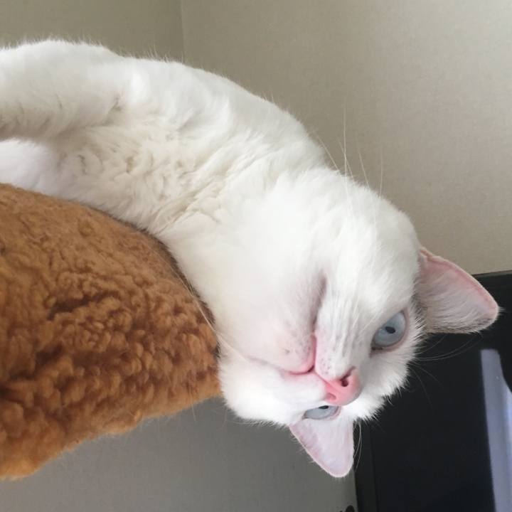 5055ce5f 2d3d 49a5 a72c f471877f55eb 1692068145120