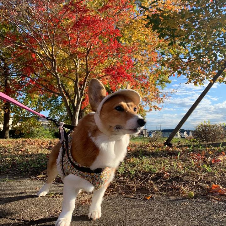 50561253 2d29 4f1d 9b53 17efc23df7ce 1668407298391