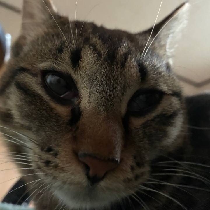 505643ff 17cf 4bc5 ab6e c6419fe3ae05 1755378622701