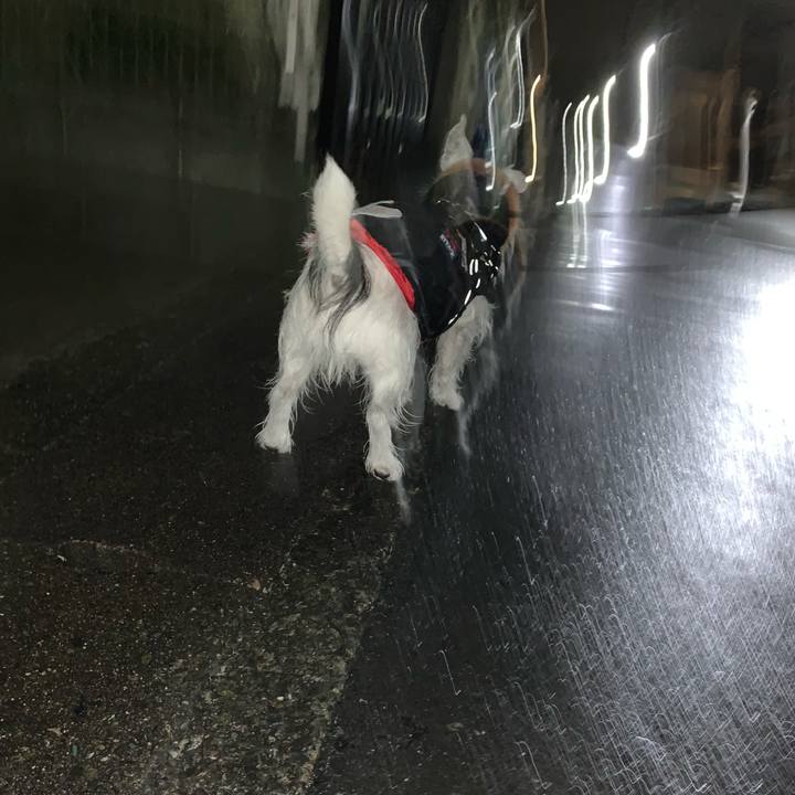 505646d4 6515 4580 b6fc a8464a7ca23c 1676293469280