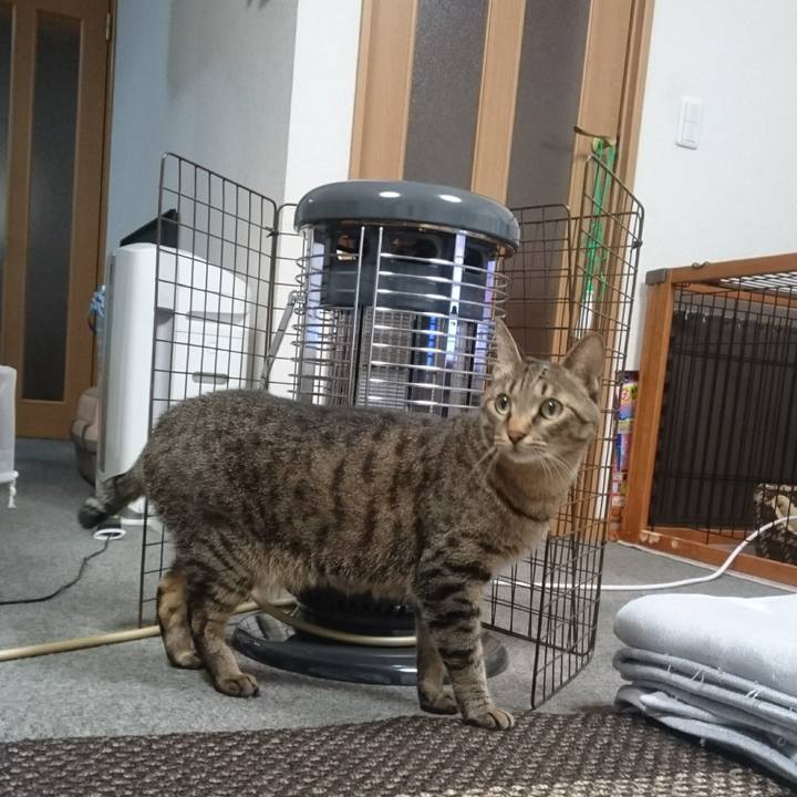 505662a5 7bc2 49b1 8176 f9c21cd75963 1508321790582