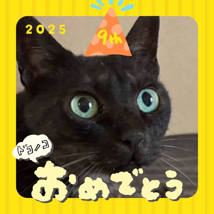 5056c6ab 1b1a 4745 9778 6b31a101dc4f 1749248439440