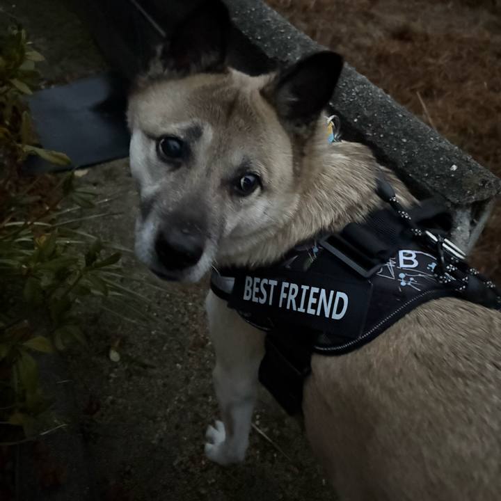 5057639d 0995 46a9 9f97 1eabb454cf5b 1739363807219