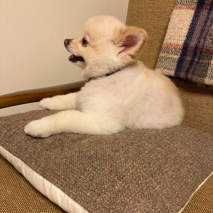 50577604 e691 48c9 a866 440eb3ba36c2 1627903416713