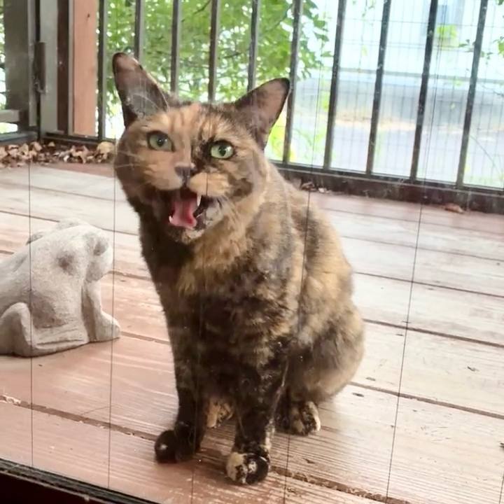 5057a0cb 0bc5 4693 9061 9d0844add0b5 1756642898003