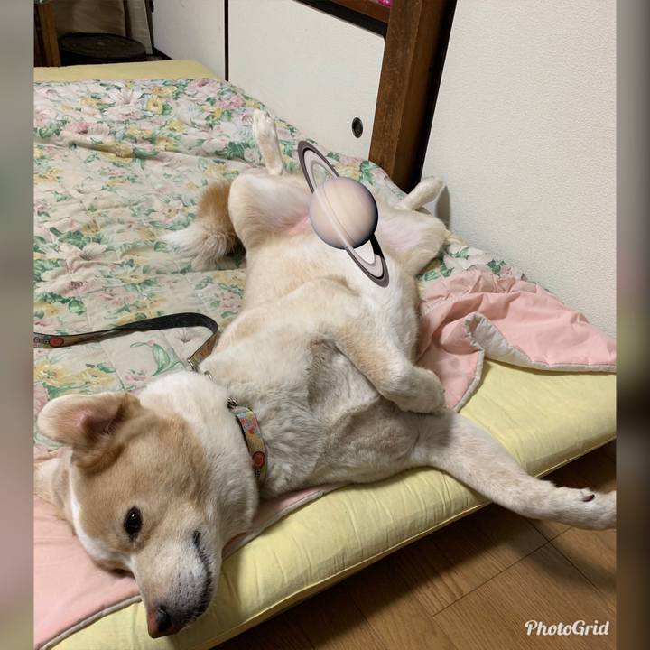 5057a339 d924 4cea 8635 528e0fc599df 1570548704428