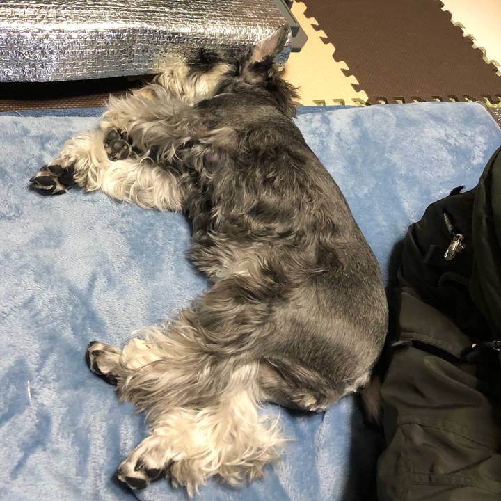 5057a886 053f 43e9 9ed3 0bb655f1291c 1678802006720